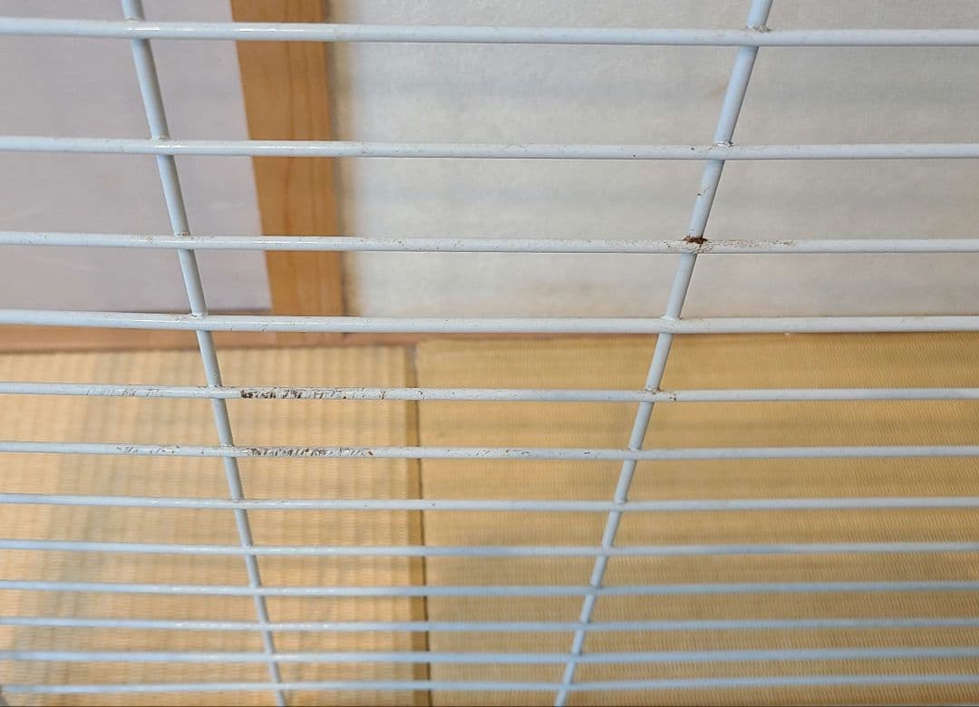 うさぎ ケージ イージーホームエボ80-WH