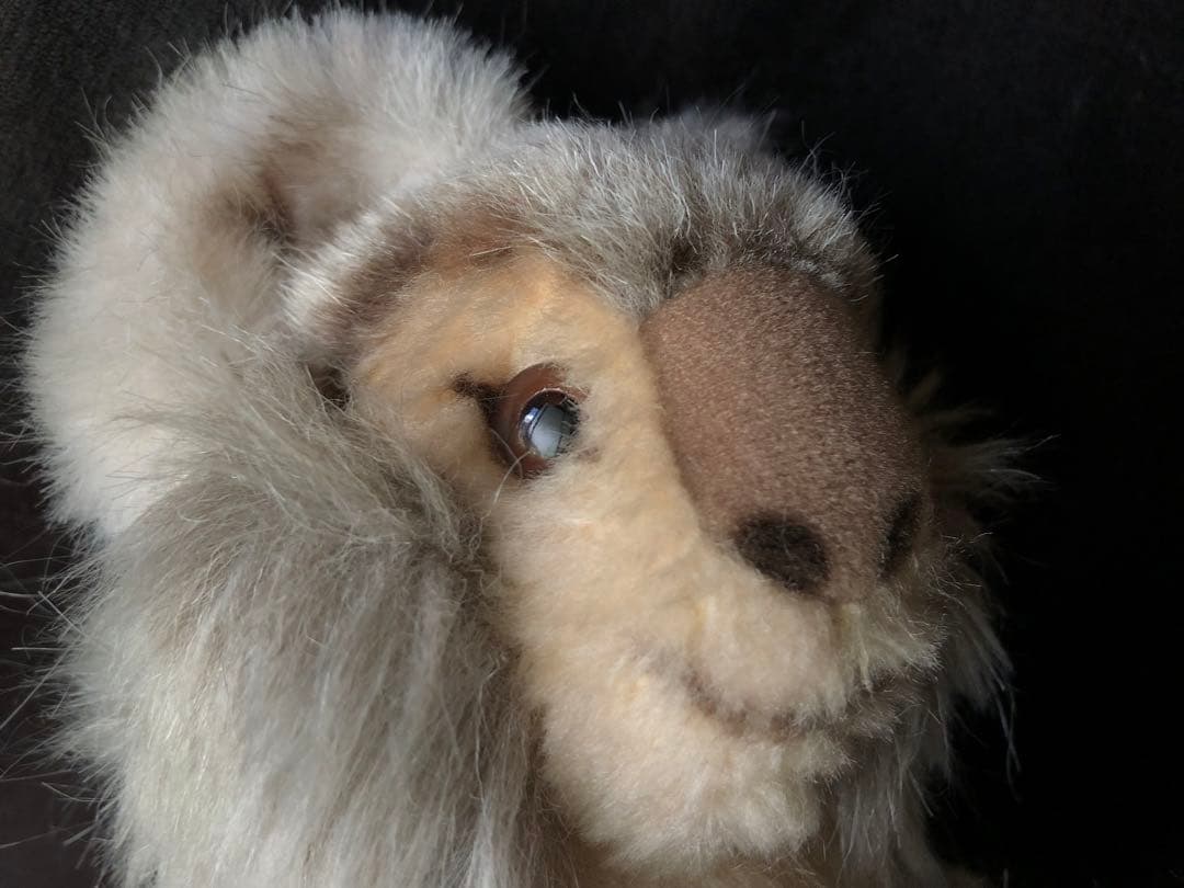 Steiff コアラ Molly Koala