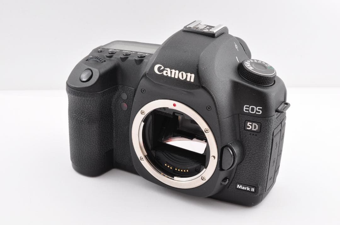 Canon EOS 5D Mark II シャッター数26893 #FG05