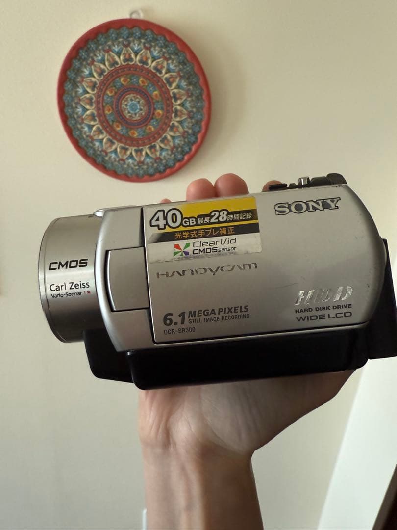 SONY Handycam デジタルビデオカメラ(40GB) DCR-SR300