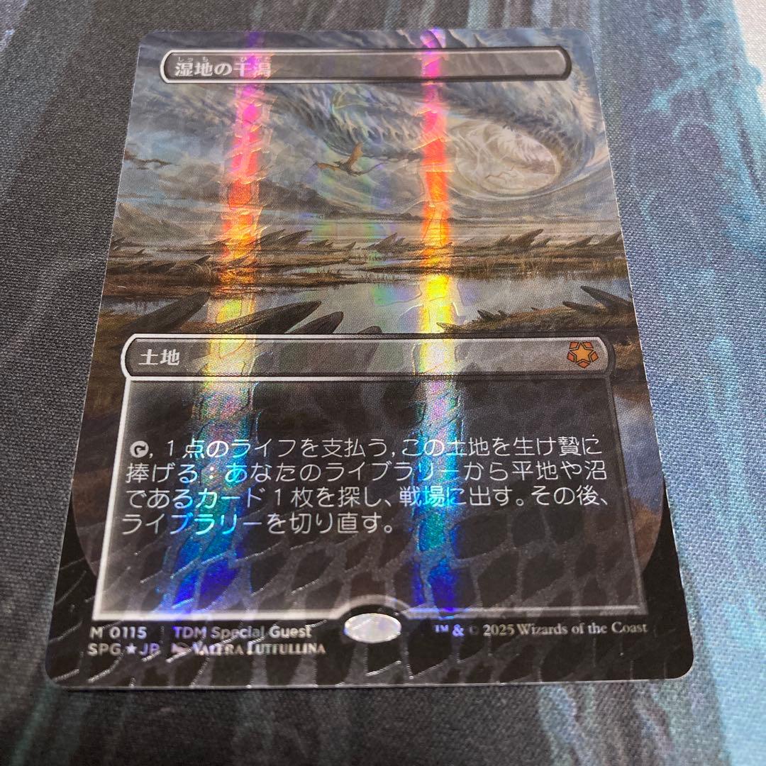 mtg 湿地の干潟 ドラゴンスケイルFoil