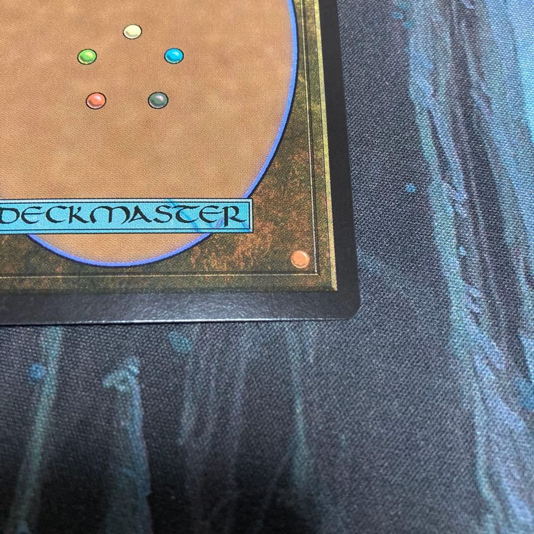 mtg 湿地の干潟 ドラゴンスケイルFoil