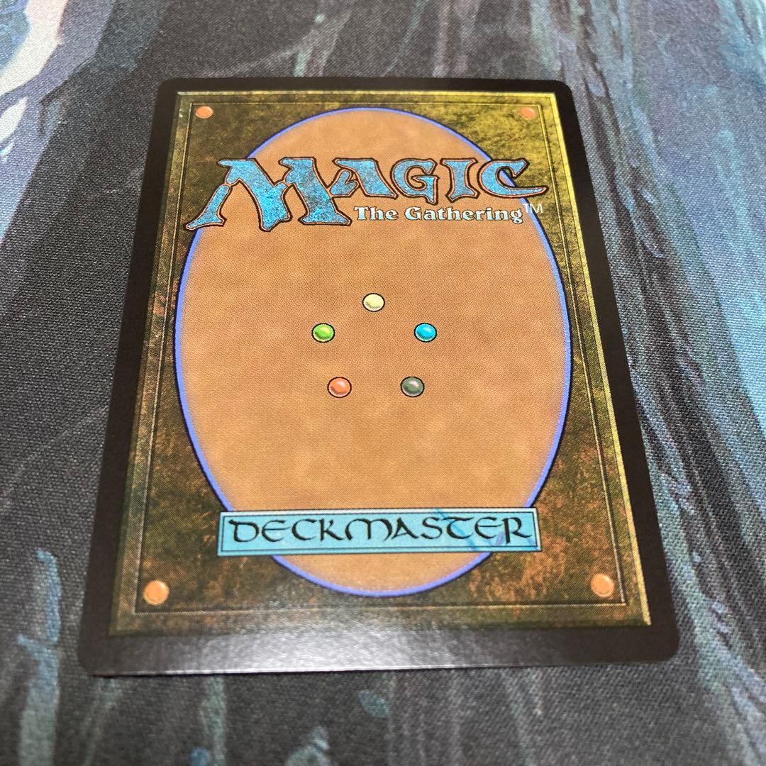mtg 湿地の干潟 ドラゴンスケイルFoil