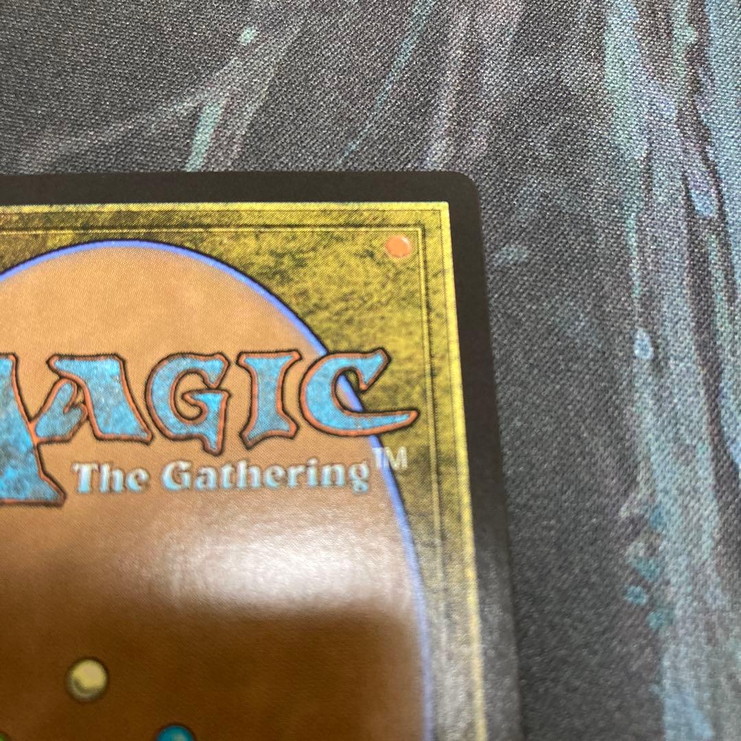 mtg 湿地の干潟 ドラゴンスケイルFoil