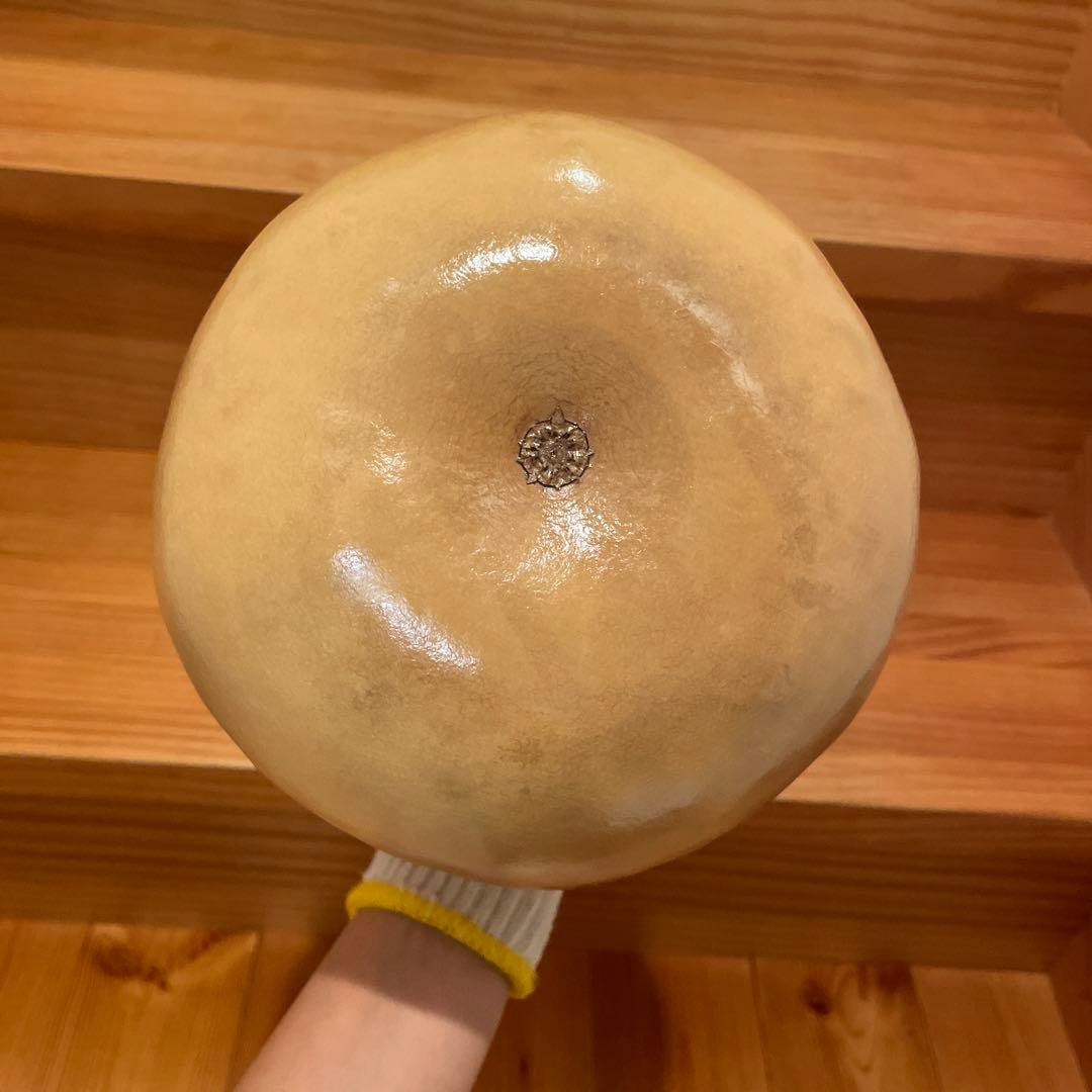 イプ　コーティング済