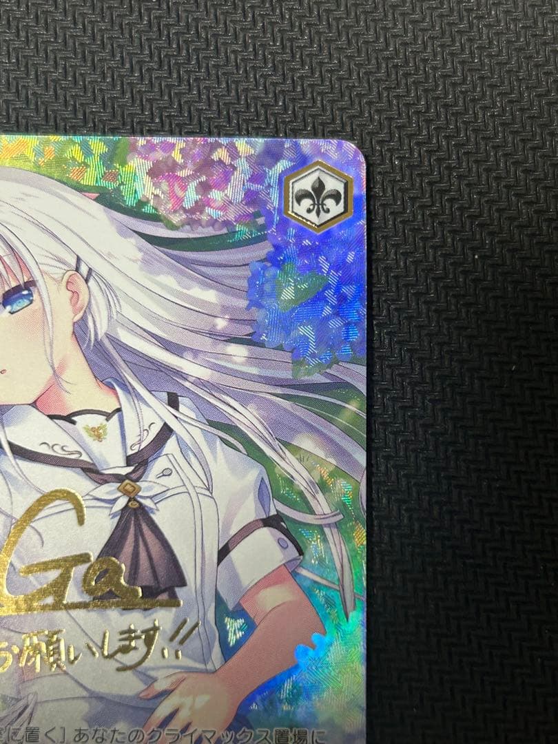 夏が来りて　しろは　SEC （サイン入り）