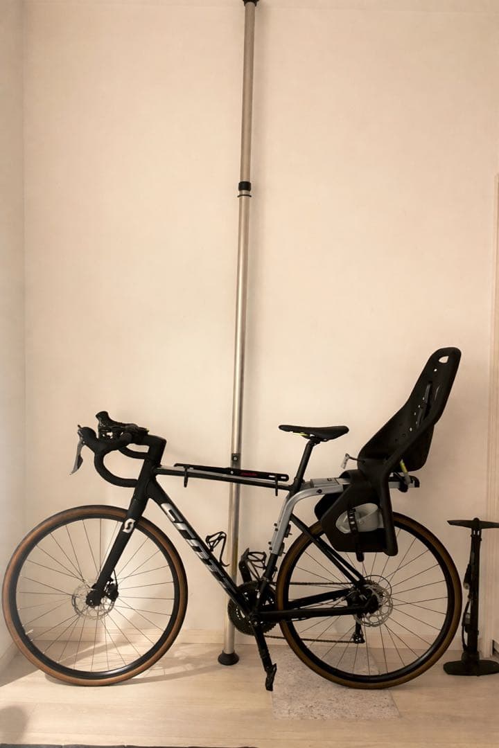 Thule Yepp maxi 自転車用チャイルドシート