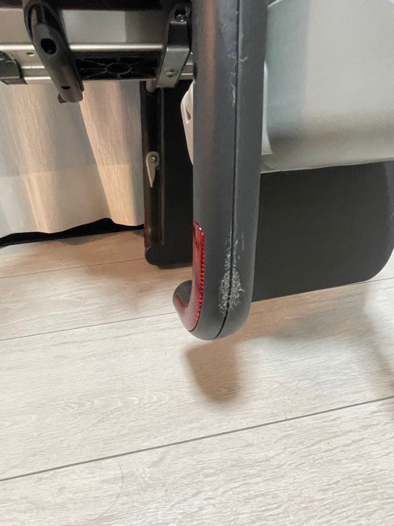 Thule Yepp maxi 自転車用チャイルドシート