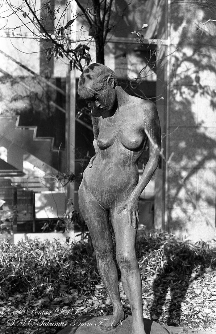 【整備済完動】PENTAX SPF SMC TAKUMAR 55mm F/1.8