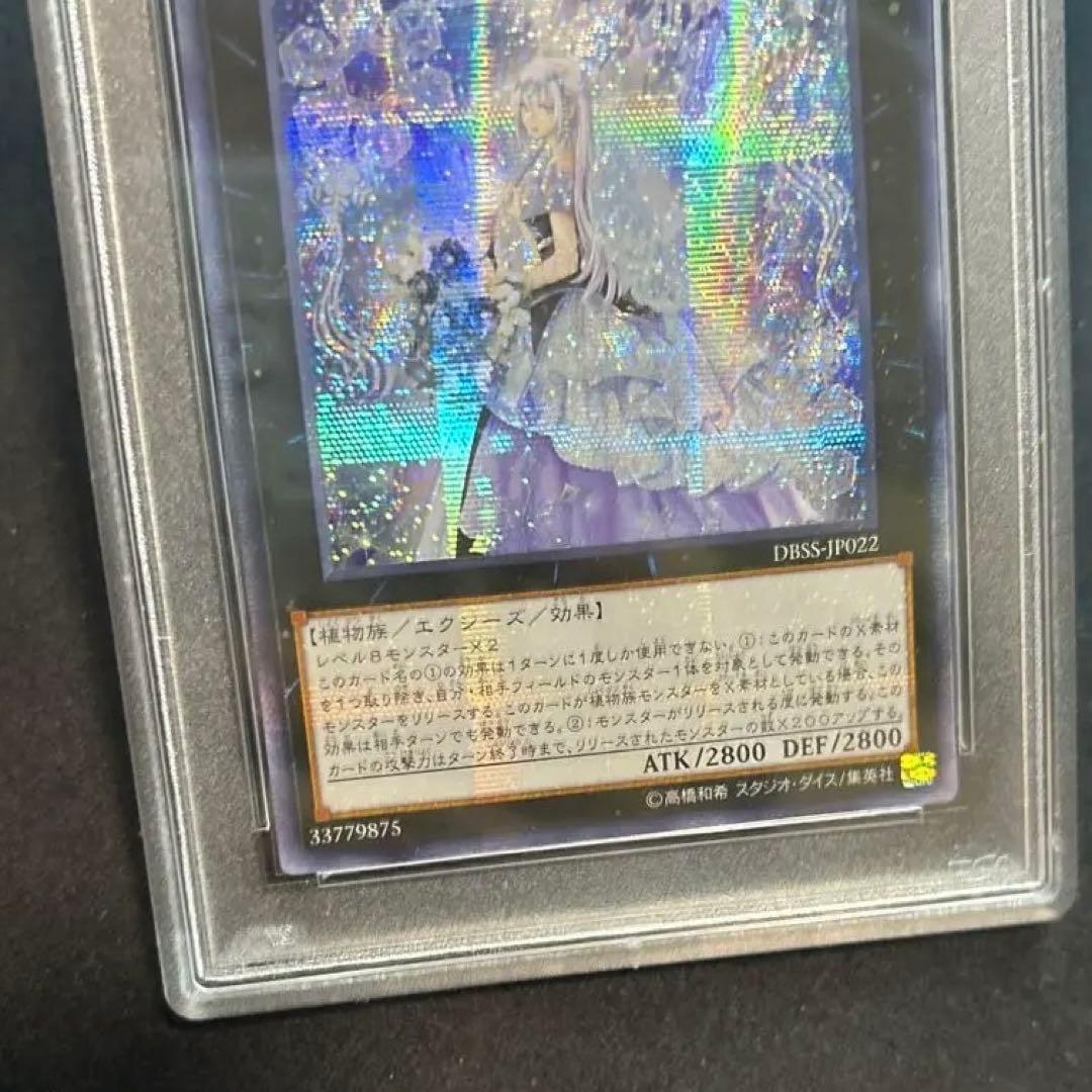PSA10 アジアシク 貫通横シク 六花聖ティアドロップ