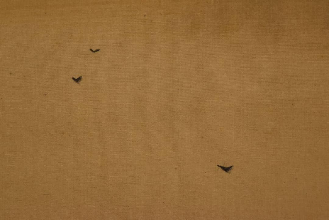 【真作】武田耕雪/晩秋図/掛軸/名家伝来/Z-973