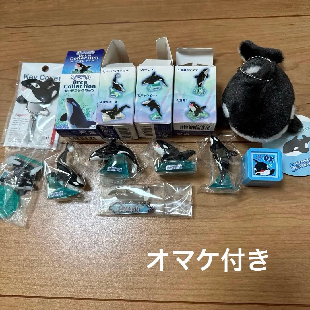 鴨川シーワールド　セット