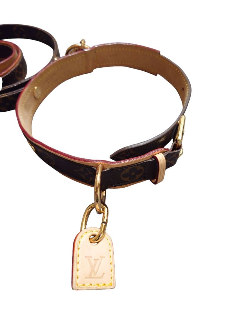 Louis Vuitton 中型犬用首輪とリードセット