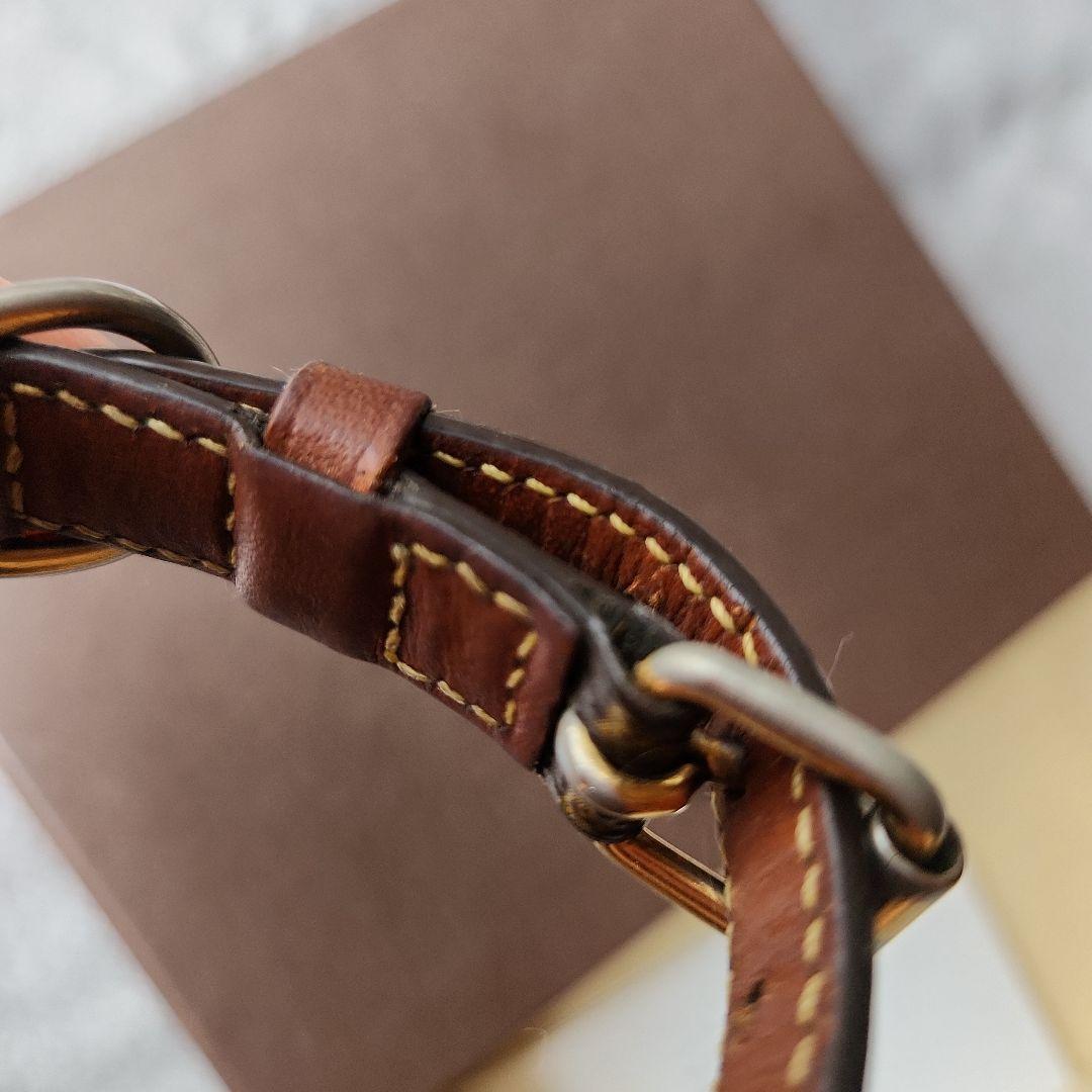 LOUIS VUITTON モノグラム首輪 箱付き