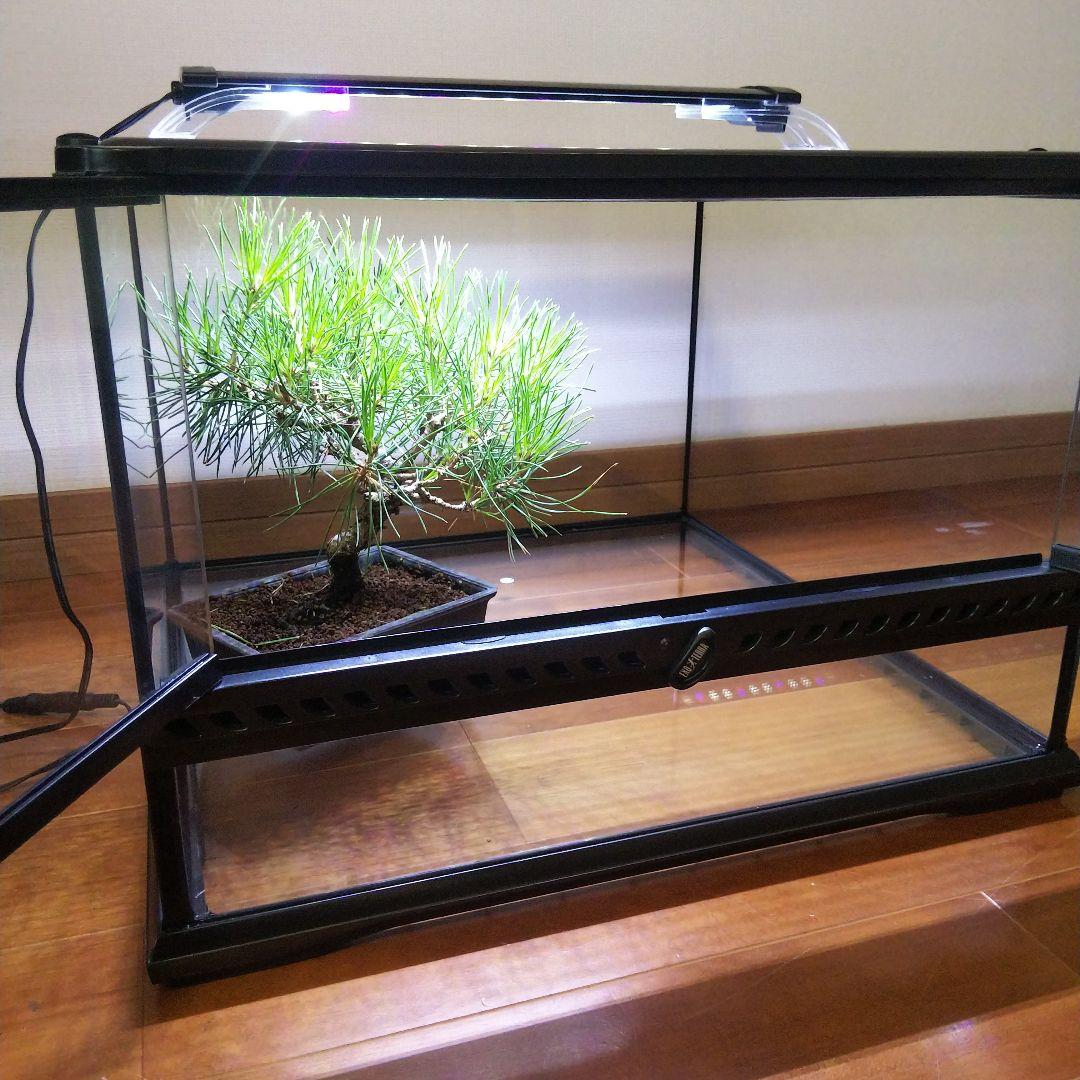 【受注生産】室内日本庭園