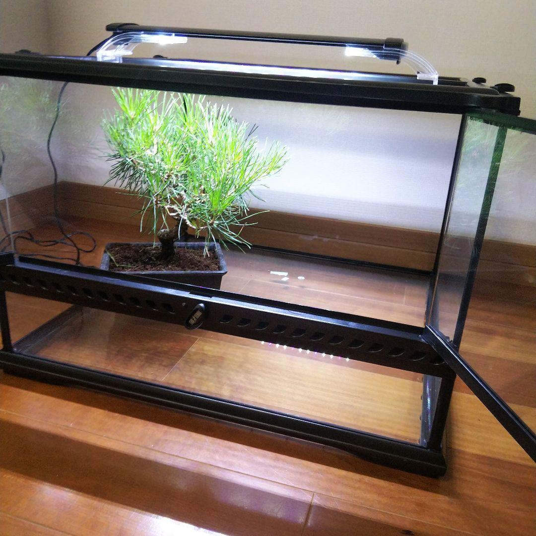 【受注生産】室内日本庭園