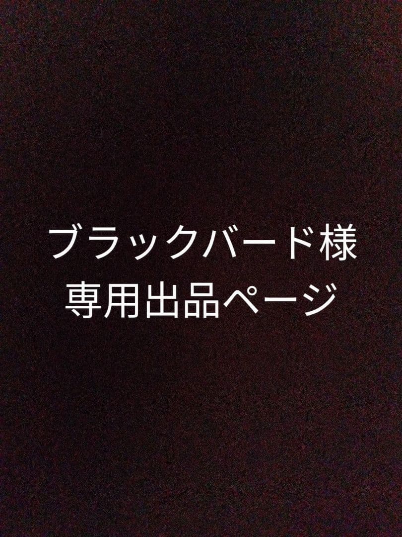 こちらはブラックバード様制作ご依頼専用ページとなります(⁠^⁠^⁠)♪