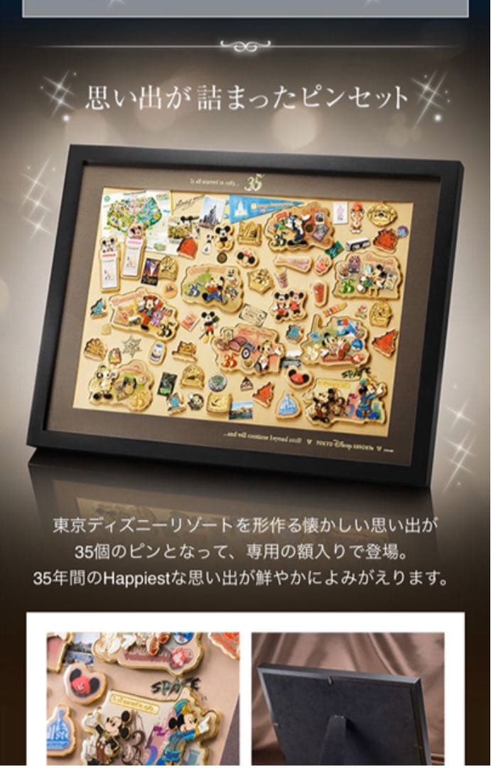 ディズニー　35周年記念品　ピンバッジ