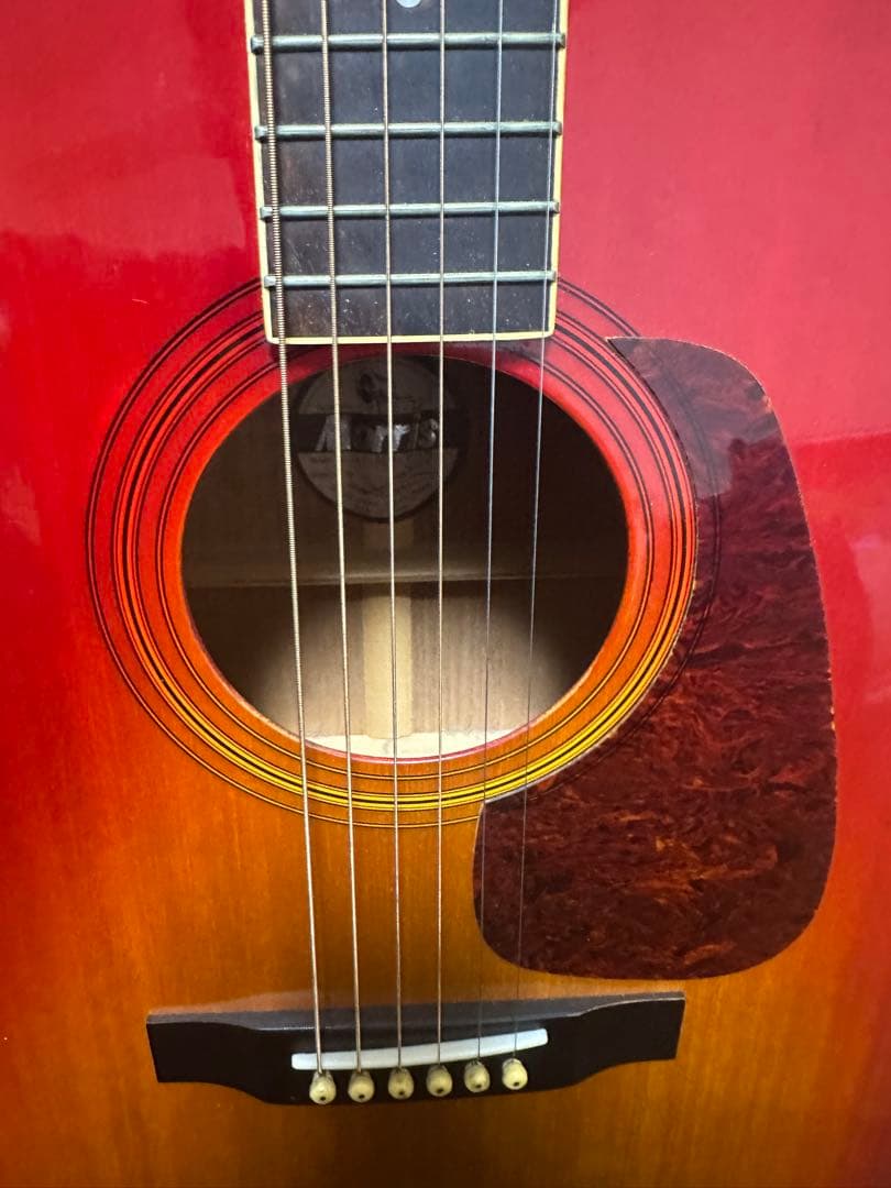 Morris アコースティックギター レッドグラデーション