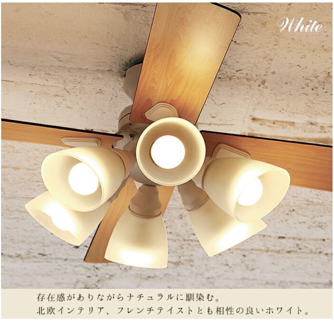 10畳Windouble 6灯シーリングファンライト リモコン付き BIG102