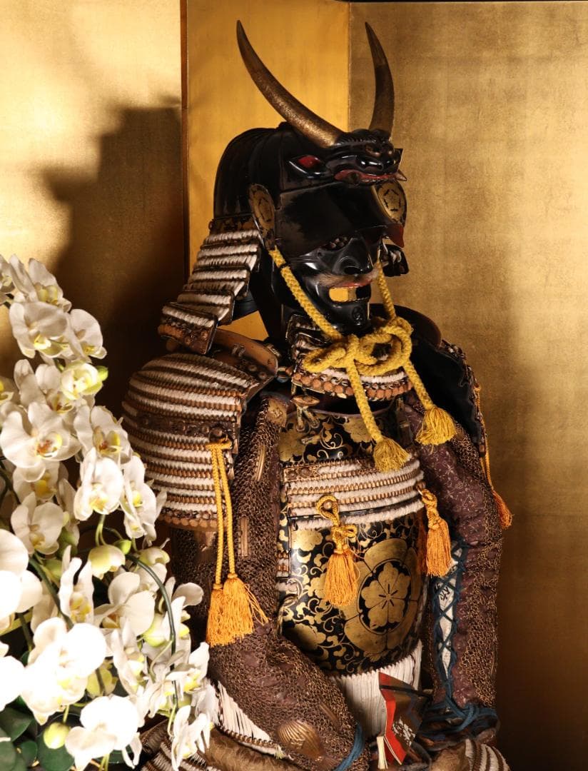 BY05　甲冑　具足　五瓜に唐花家紋唐草胴　獅子噛み前立　鎧櫃付き　兜　武具