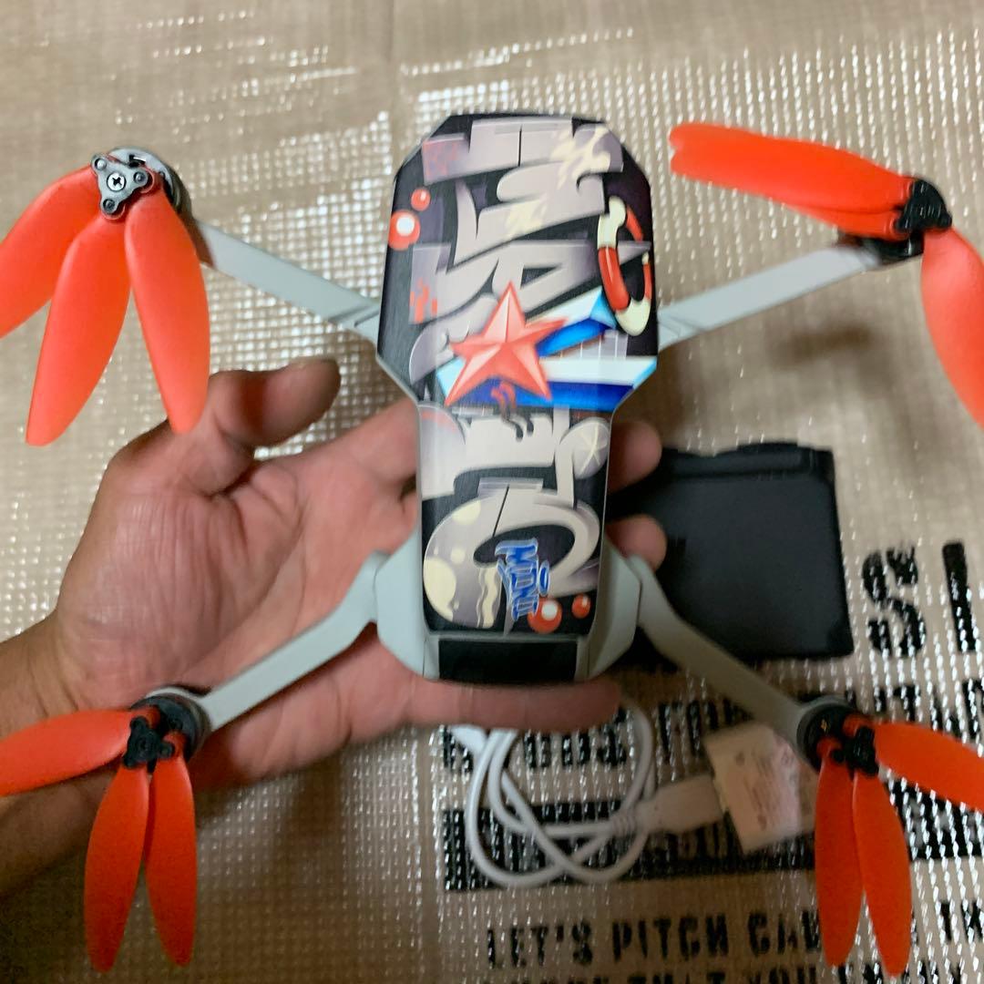 DIPS事前登録済みのMavic mini Fly more combo