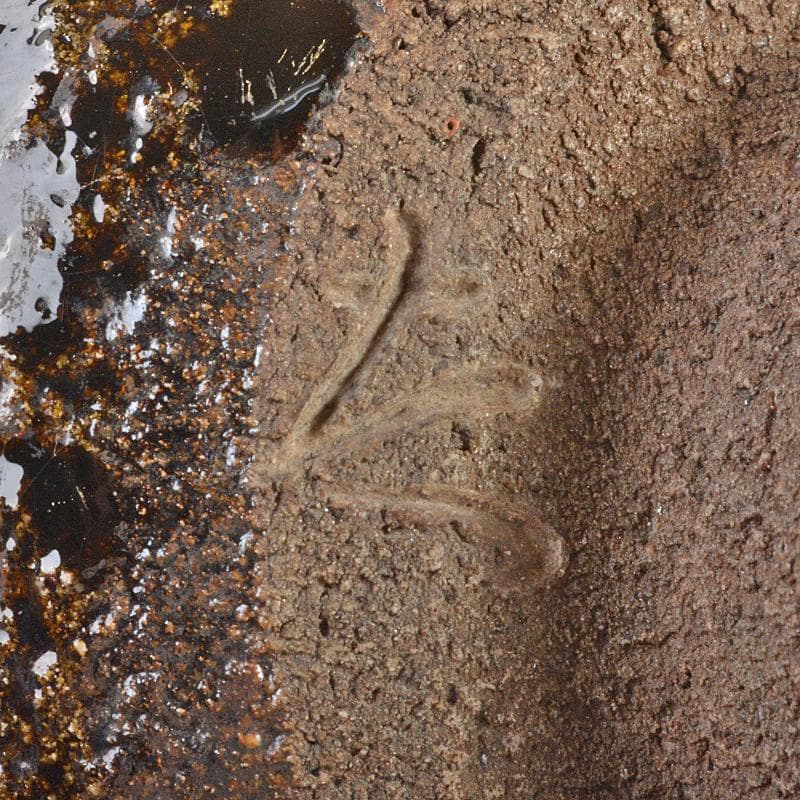 十三代中里太郎右衛門造　朝鮮唐津　茶碗　仕覆付　共布　鵬雲斎極め箱　DR6728