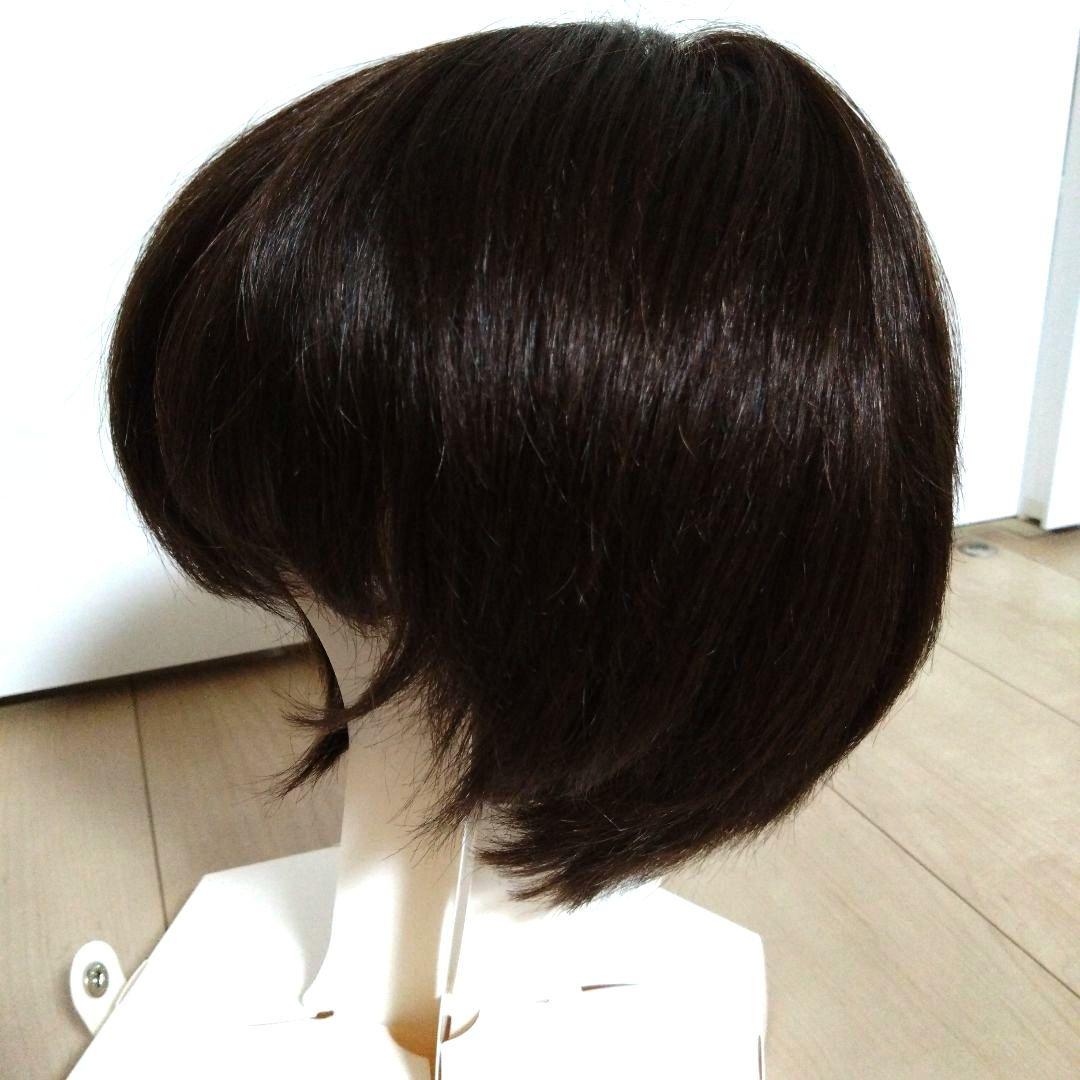 ジュリアオージェ アートネイチャーウイッグ JO/HM2 DE6 M