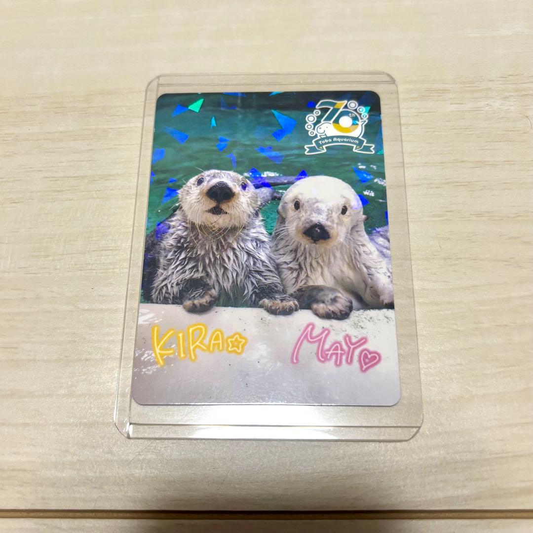 N*K様 鳥羽水族館 70周年 コレクションカード　レア　キラメイ