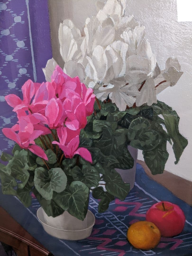 【真　作】新井隆、『紅白のシクラメン』、油彩10号、サイン有、黄袋、差し箱付