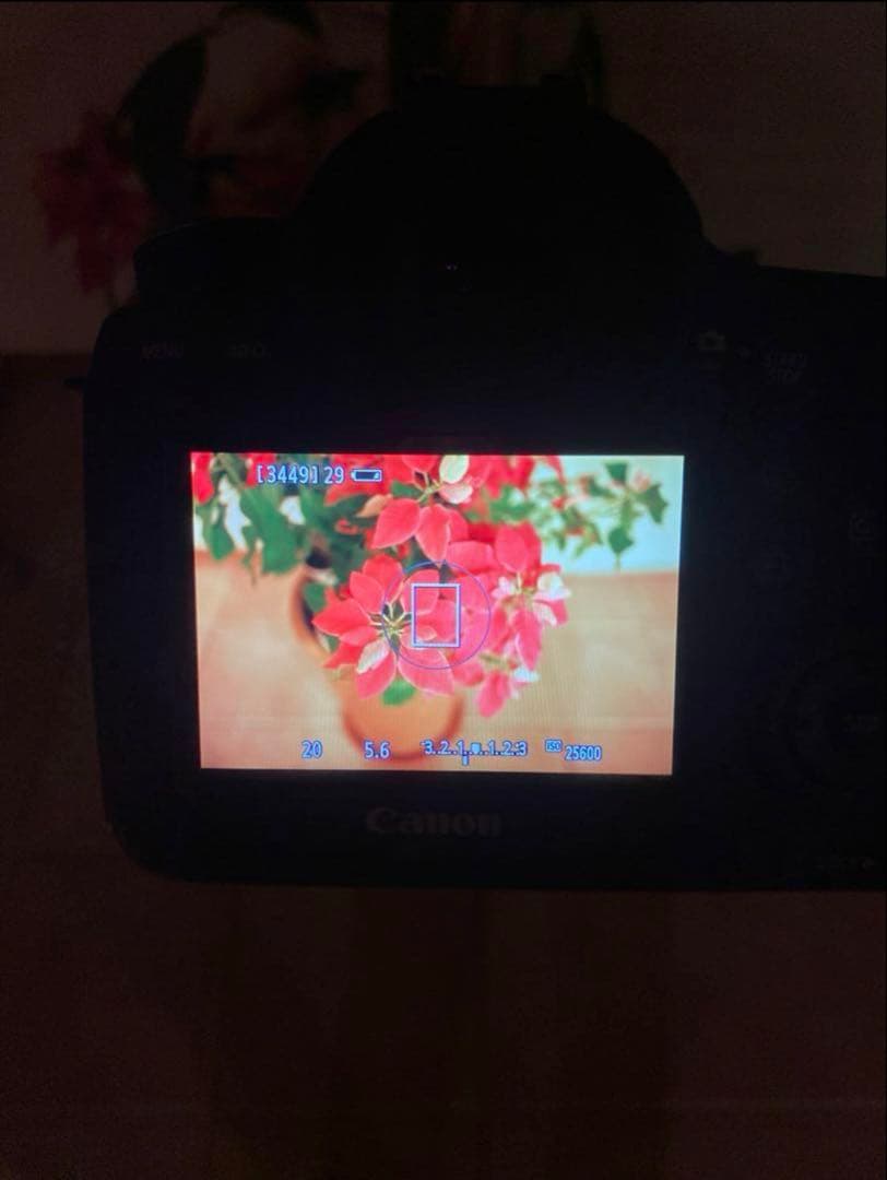 レンズ(単焦点) Sigma Art DG f1.4 35mm Canon