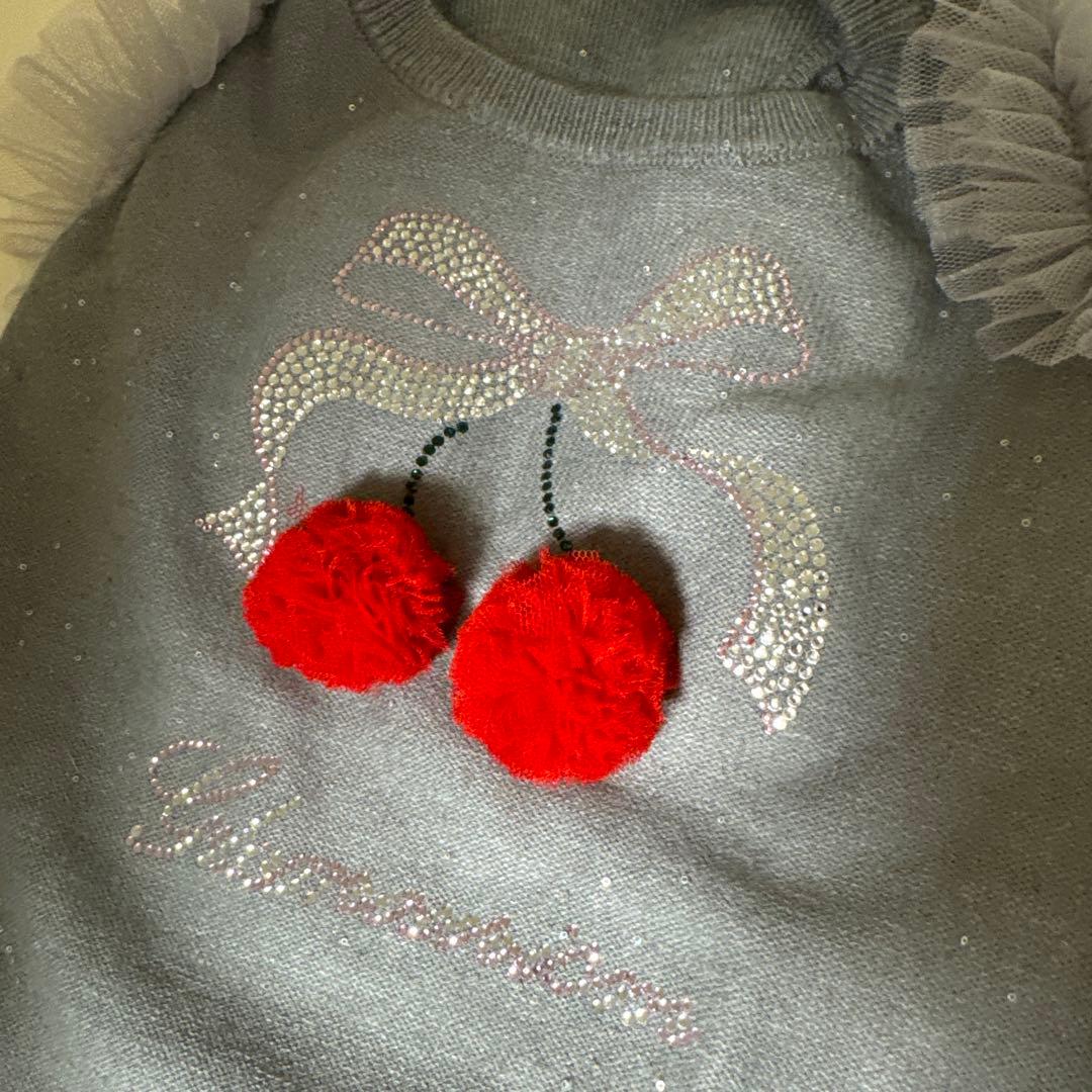 犬服 グレー チェリー刺繍 フリル付き