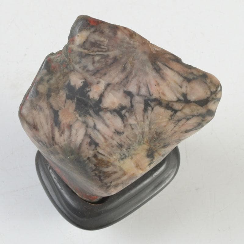 岐阜県根尾谷産　天然石　鑑賞石　菊花石　唐木台付　書付共箱　V　9425