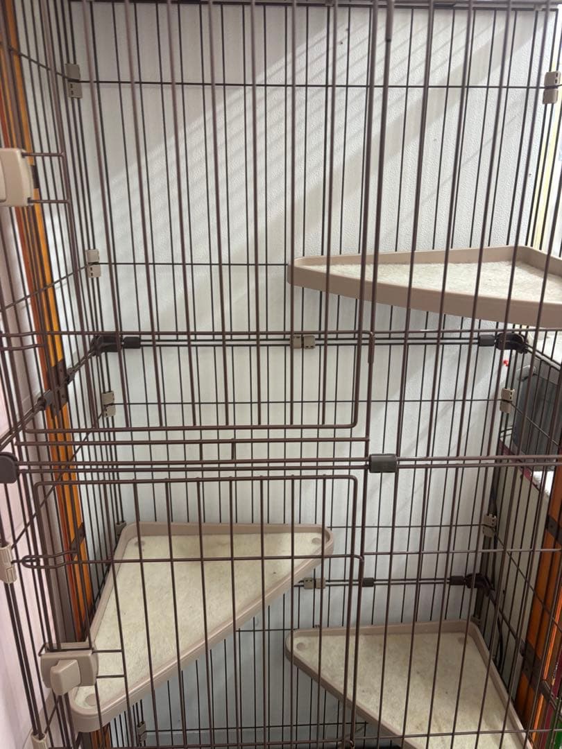 キャットゲージ