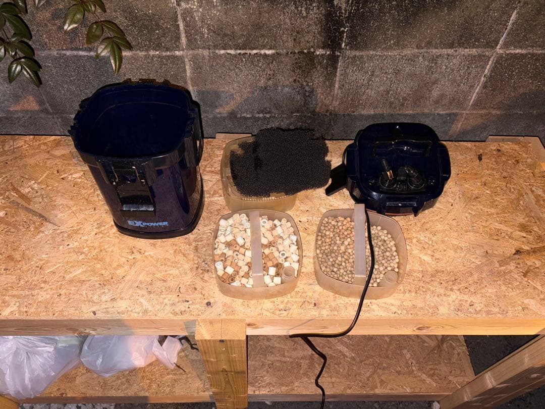 60センチ水槽 セット