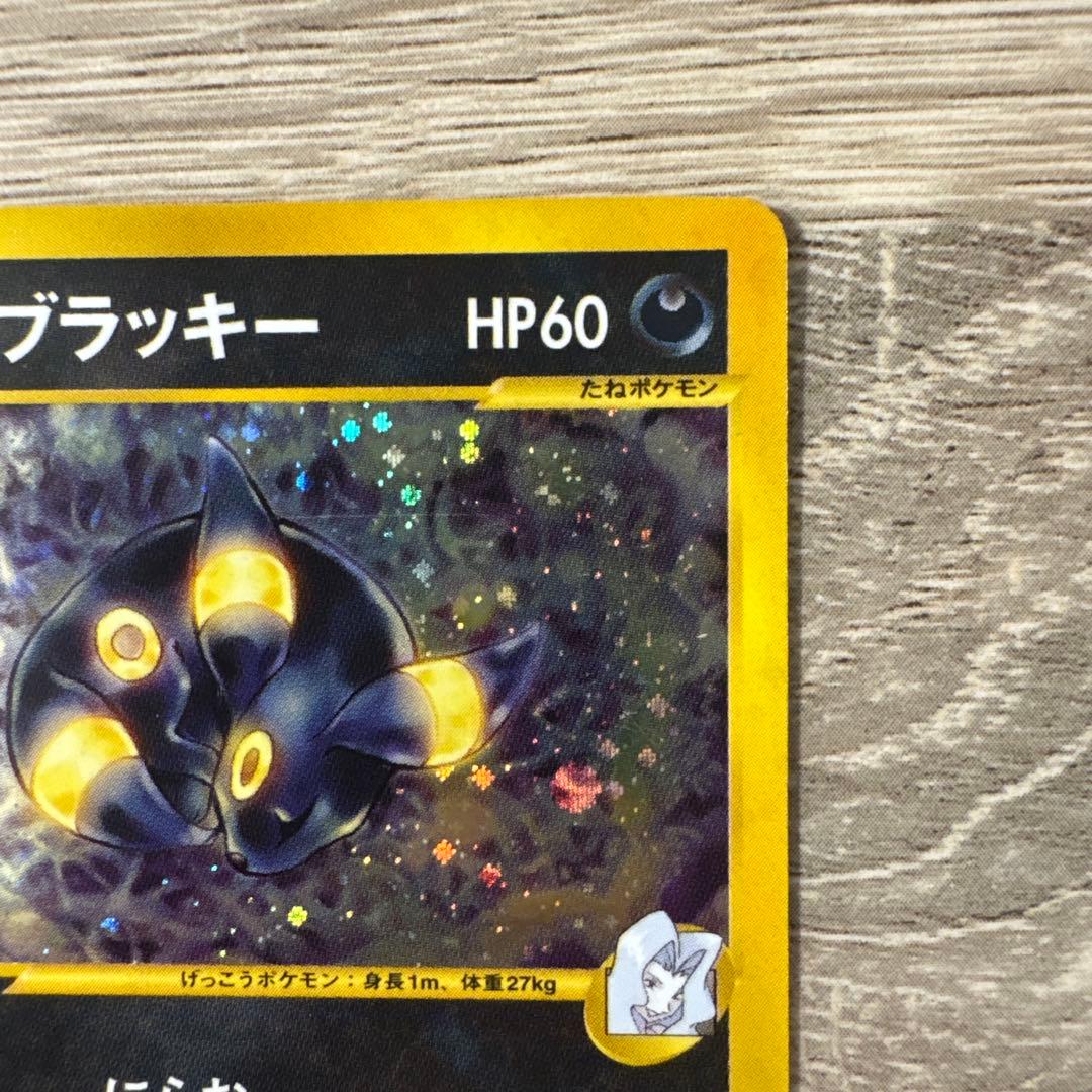 Seizachan　ゼニガメ ブラッキー