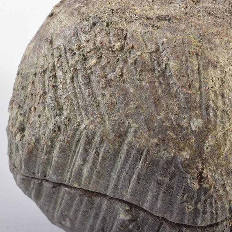 茶道具　常滑焼　小西洋平作　真焼　香合　共布共箱　C　R6322