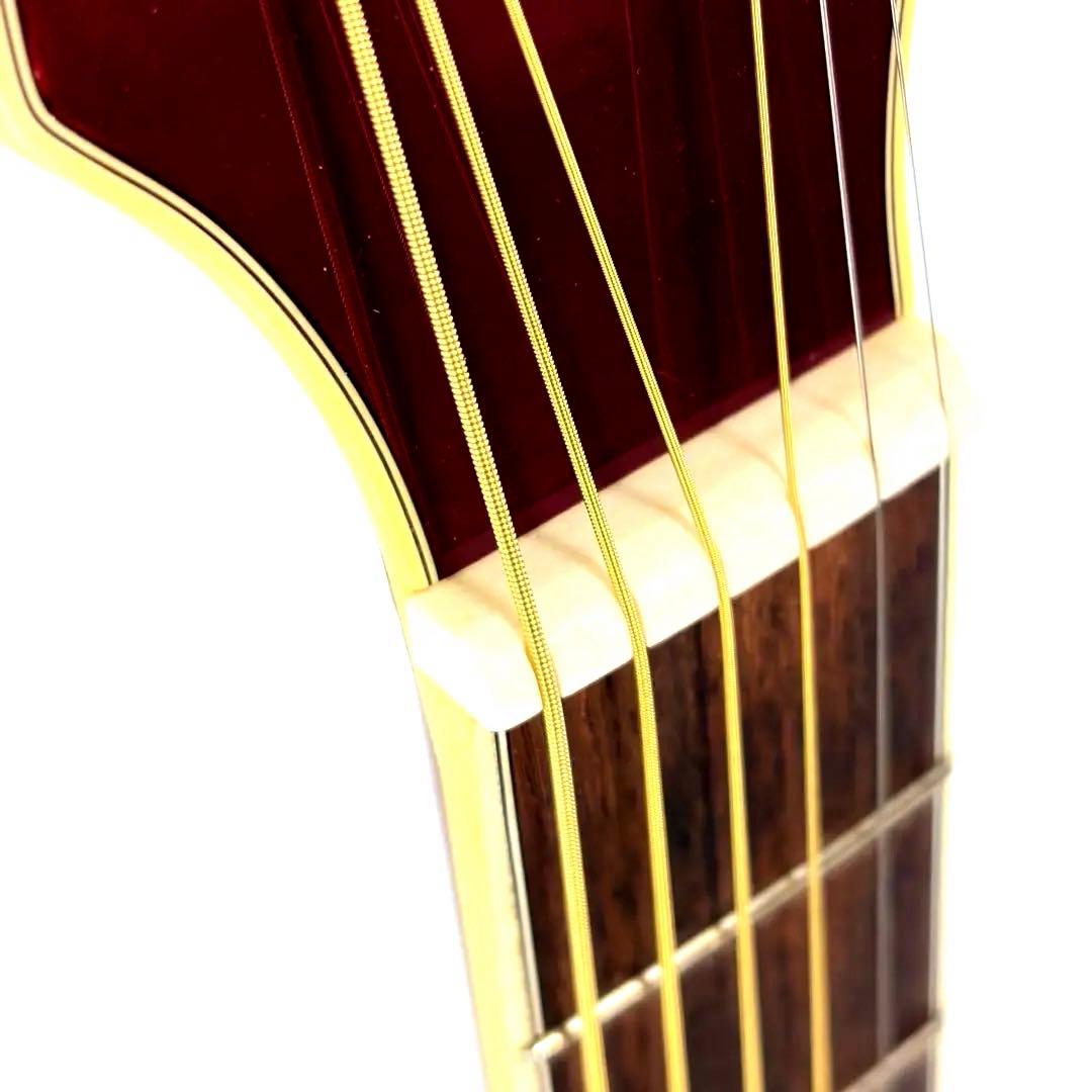 ARIA RFTE-MM Disneyコラボ ミッキーマウス　エレアコ