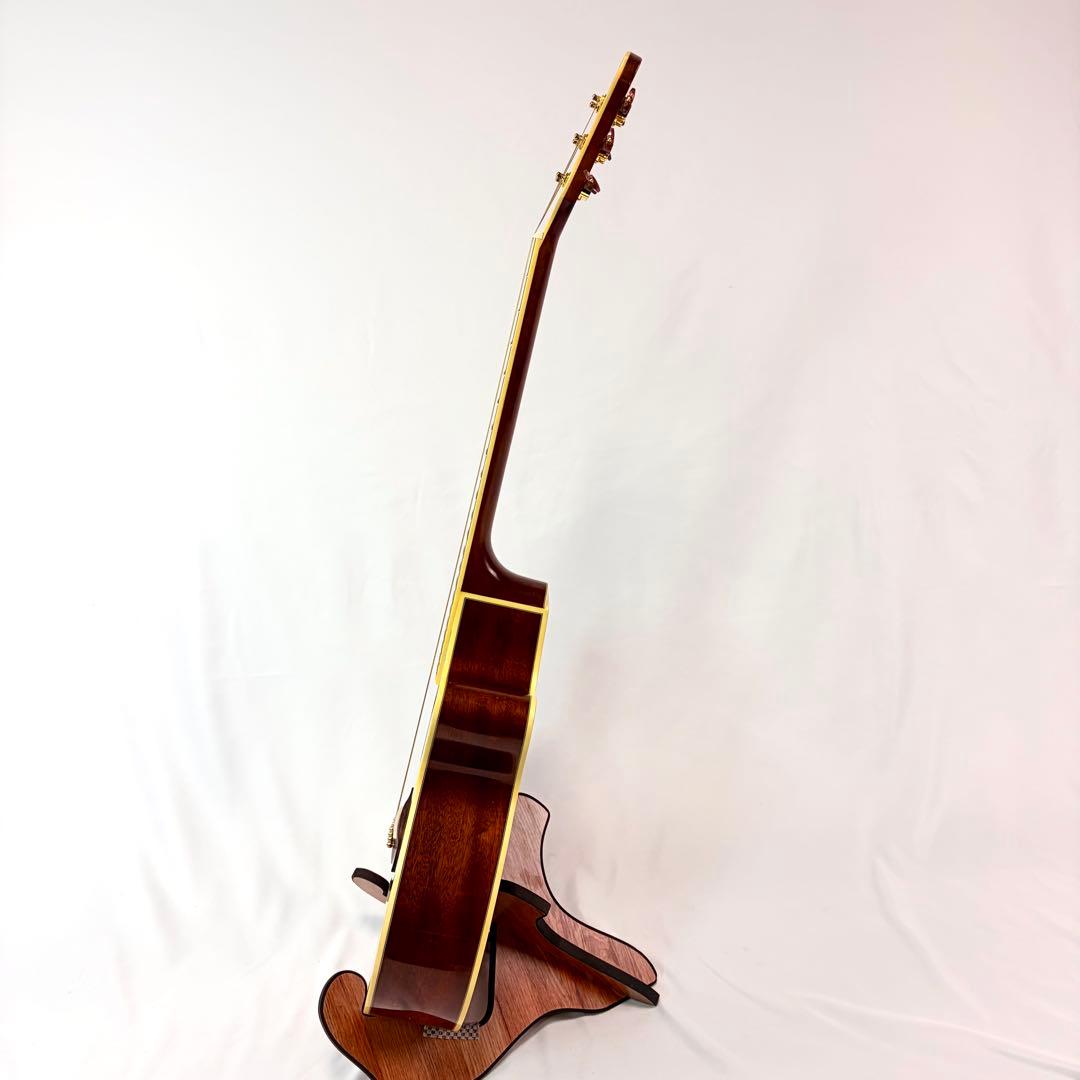 ARIA RFTE-MM Disneyコラボ ミッキーマウス　エレアコ