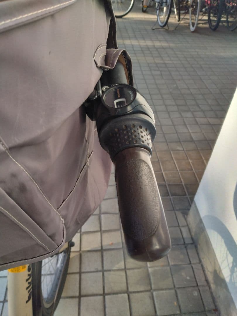 ビッケポーラー e 2018 年購入 電動アシスト自転車 チャイルドシート付き