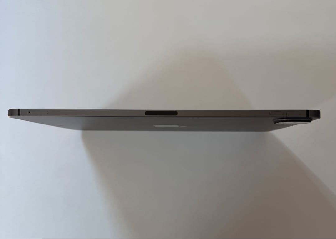 【訳あり】iPad Pro M1 11インチ256GBセルラー +Apple P