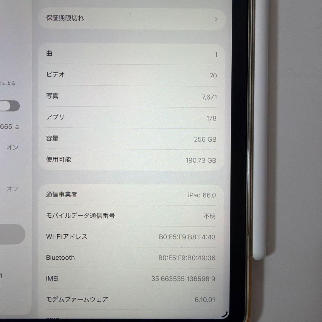 【訳あり】iPad Pro M1 11インチ256GBセルラー +Apple P
