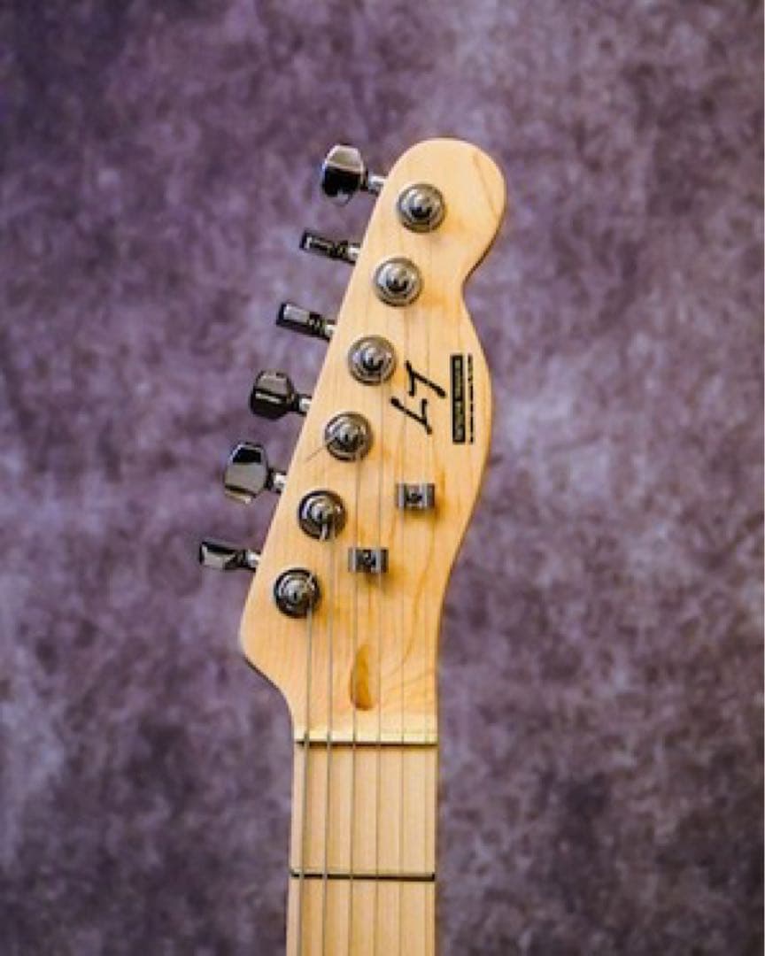 【未使用品】田口達也 オリジナルギター ブラック