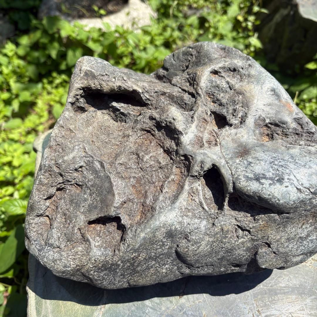 【お値下げ　希少 八海山石8.1kg】アクアリウム ウブ石 ジャグレ石 水無川