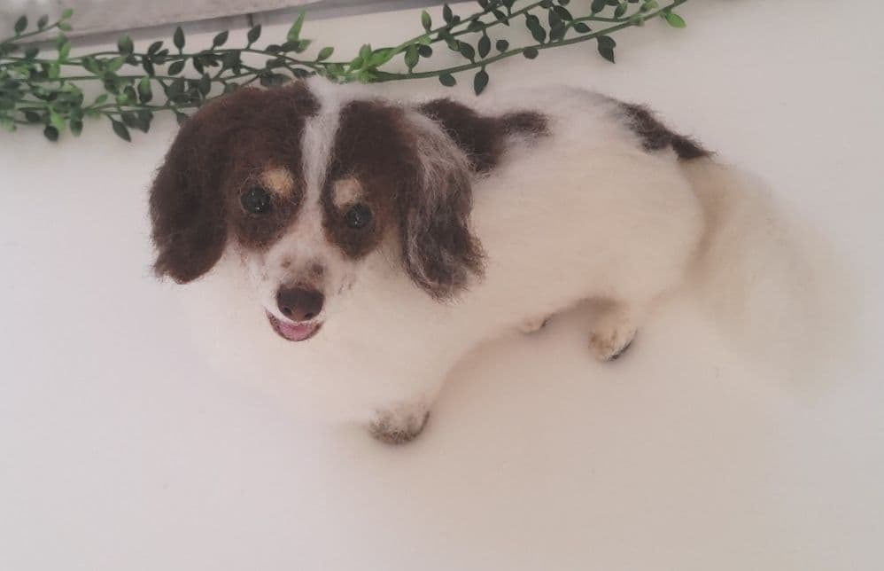 merry♡うちの子オーダー♡羊毛フェルト♪ハンドメイド☆