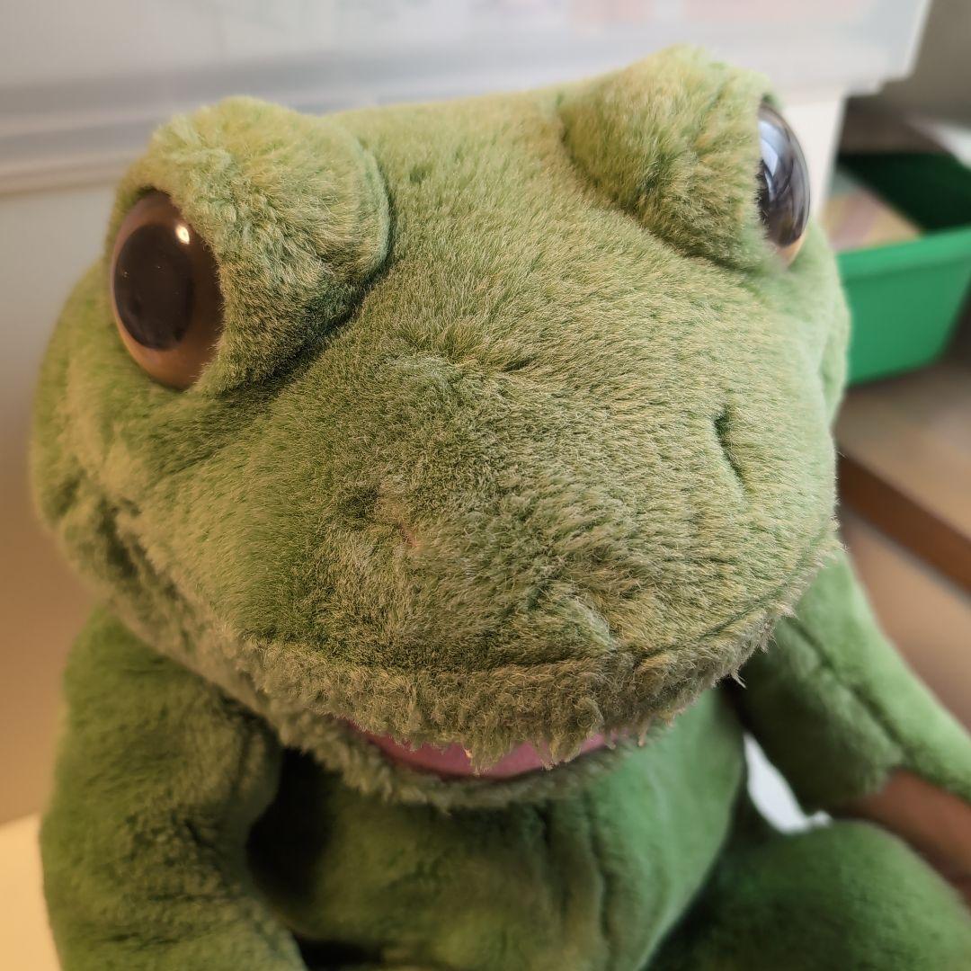 プレイトーキン　カエルのパペット