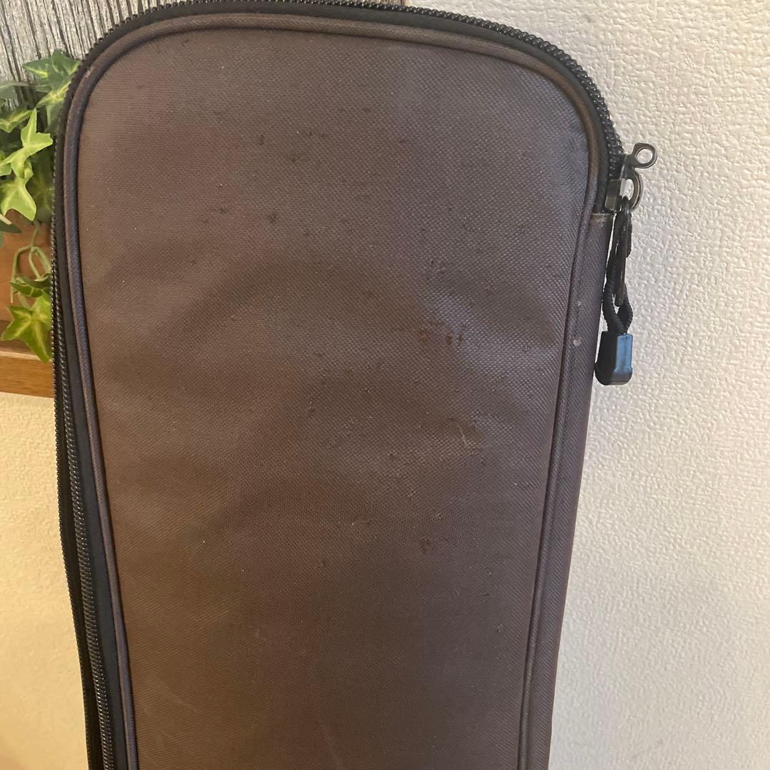 PRS SE custom パープル