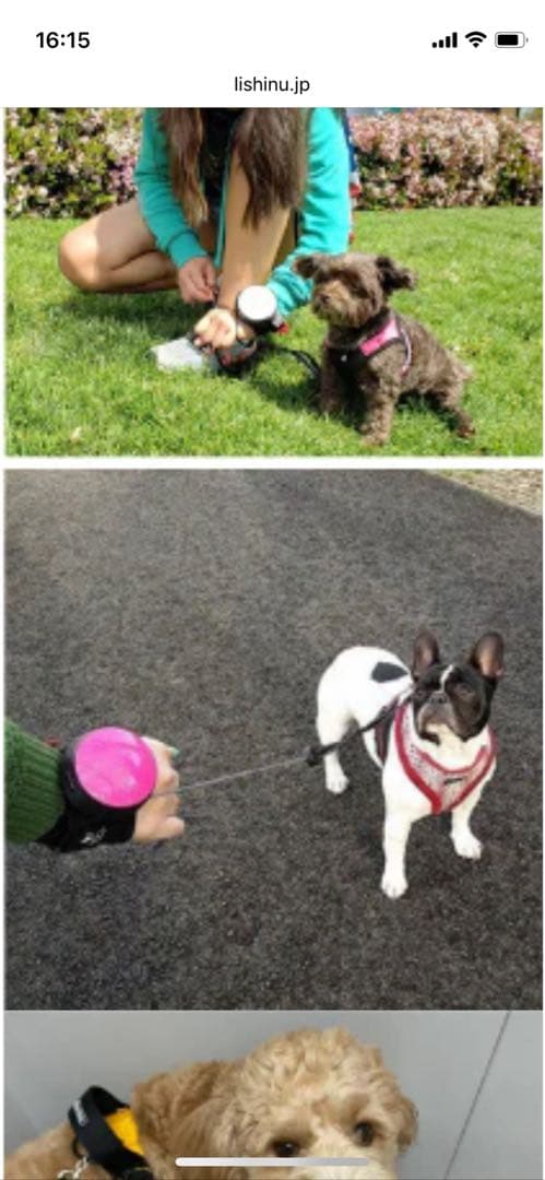 リシニュー　ハンズフリーリード　3m 新品