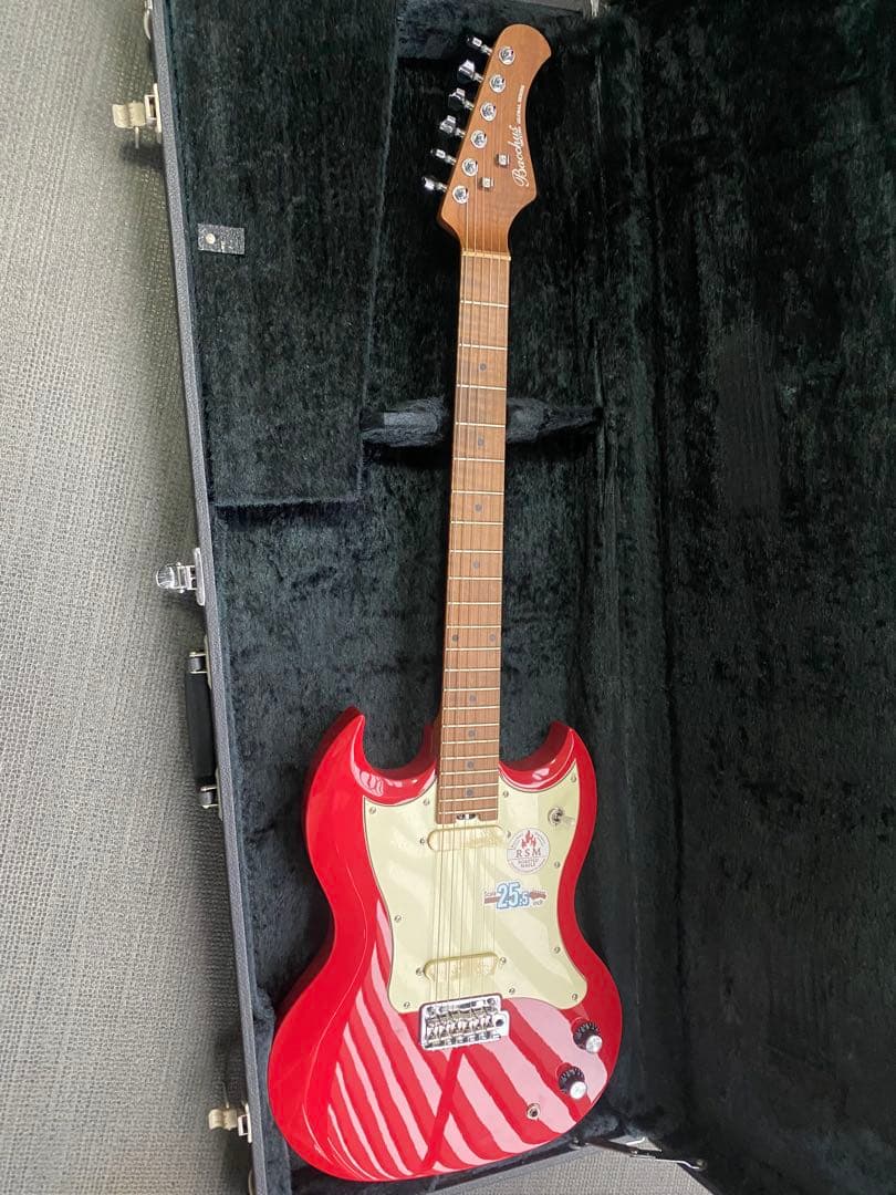 値下げ　BACCHUS BSM-STD/RSM/FR ハードケース別売り