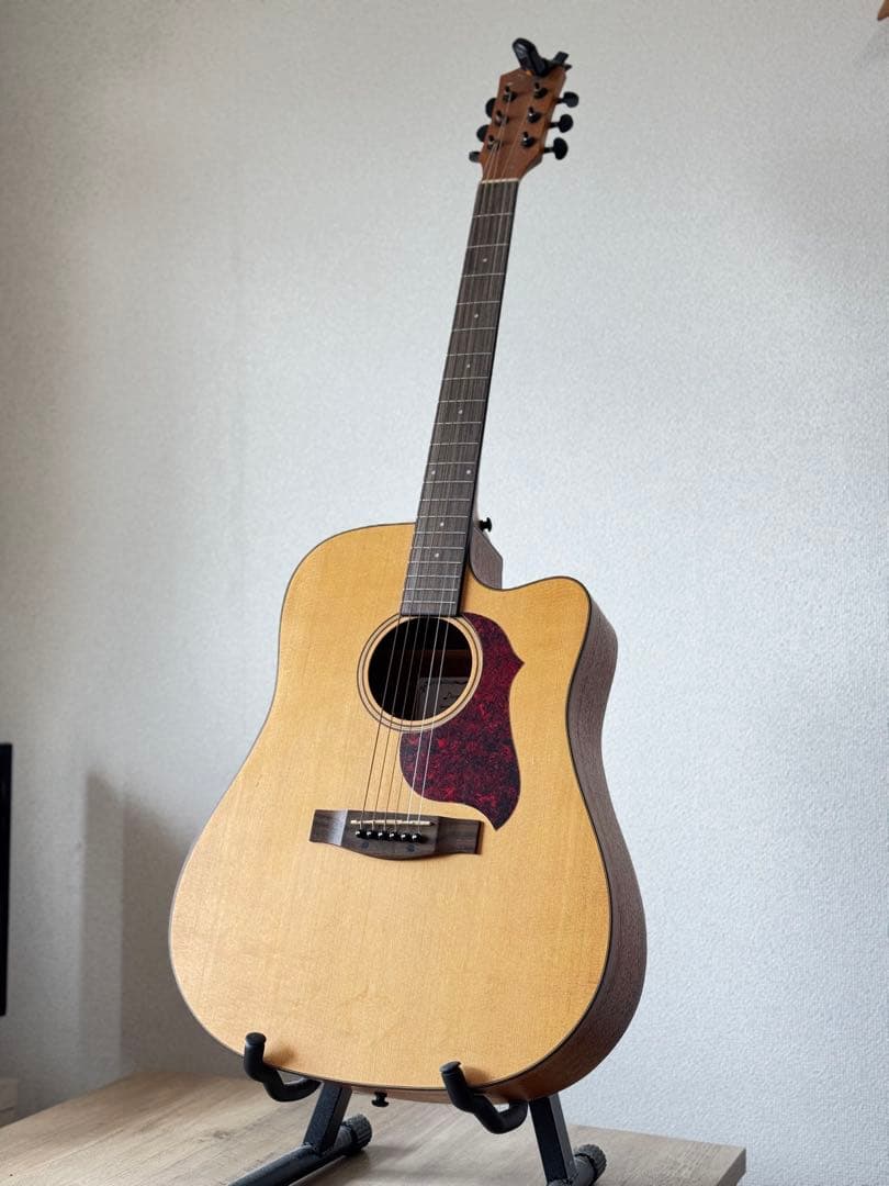 アコースティックギター ドレッドノートタイプ ナチュラル